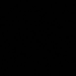 Meet your Posher, Sugar